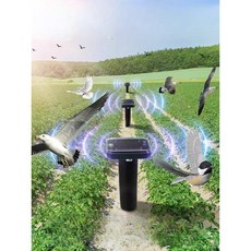 추천10 개퇴치기