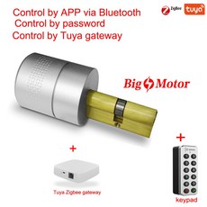 투야지그비모터