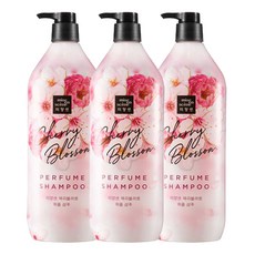 미쟝센체리블라썸