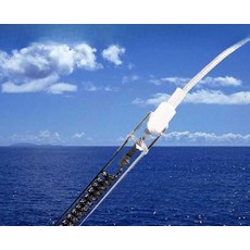 카본 히터 가열 파이프 램프 튜브 석영 220V 원적외선 전기, 500mm/800W