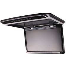 카니발천정모니터