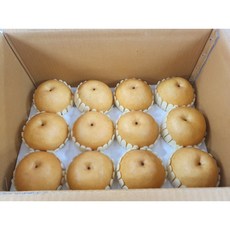 가정용 햇 배 3kg 5kg 7kg, 1개, 3kg(7-9과내외)