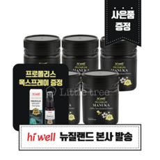 지하이웰