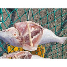 완도 자연산 반건조 도미(특대 30cm 전후 내장제거 등 전처리완료 개당 진공포장), 2개, 500g 내외