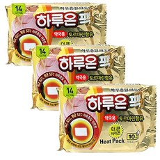 지엘 하루종일 따뜻한 더 큰사이즈 하루온팩 10매입 약국용, 3개