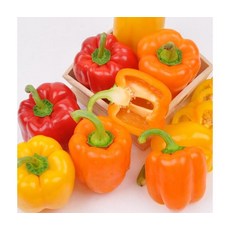 신선과즙 가정용 파프리카 2kg (빨강/노랑), ONE COLOR, ONE SIZE