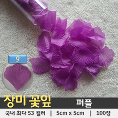 말린꽃잎으로만드는작품 TOP01