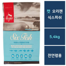 오리젠캣앤키튼