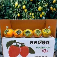 첫 출하 농랑부랑 경남 진주 대봉감 5kg 10kg 특대과 안전포장, 대봉감 5kg X 19~24개 1박스, 1박스
