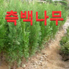 2429fc980a993b52a4c669ab385df133357e8ff3e85bd22f02d473f64bde.png