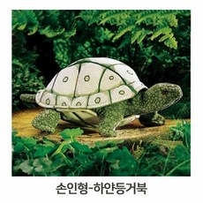고급손인형하얀등거북
