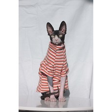 반려동물옷만들기책