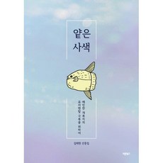 얕은사색