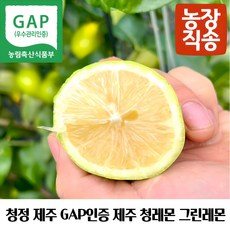 제주 GAP인증 제주레몬생과 제주그린레몬 제주청레몬 제주도산레몬 국산제주레몬 제주산생레몬 제주레몬생과 제주도친환경레몬 제주레몬gap 제주햇레몬 제주왕레몬 제주노란레몬, 1개, 무농약 제주레몬 1kg