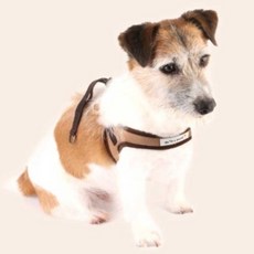 텐바이텐키즈캐리어