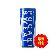 동아오츠카 포카리스웨트 240ml 캔 x 60개 (2박스, 단품없음