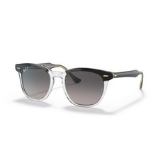 레이벤호크아이