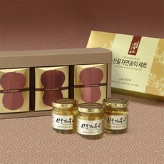제철진미 산꿀 자연송이 프리미엄 선물세트 6호 110g 3개 세트 (고급 유리병 세트), 유리병 110g x 3