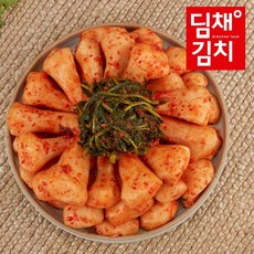 딤채김치냉