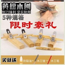 대전가족사진