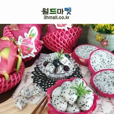 몸에 좋은 열대과일 용과 2.5kg 5kg, 1box, 8-12입 5kg