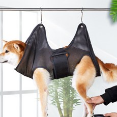 인판티노대롱대롱