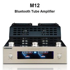 M12 증폭기 HI-FI Bluetooth 진공관 스테레오 증폭기 지원 USB 2 채널 오디오 전력 증폭기 BASS hifi 220V, 01 110V