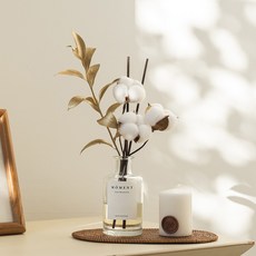 MOMENT 목화솜 골드 디퓨저 160ml, 로즈 블랙커런트