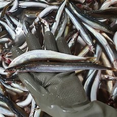 햇 양미리 1kg 튀김 조림 도리뱅뱅, 1세트
