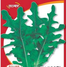  상추씨앗/청오크상추/청오크/20 000립/2만립 