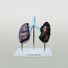 유아컴퓨터비교