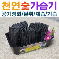 천연숯 가습기 / 생활숯 숯 참숯 공기정화 냄새제거 냄새탈취제 습기제거제 숯가습기 / 코지마트, 1개