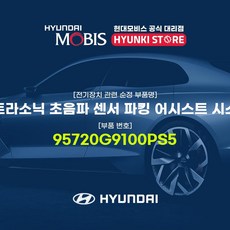 ps5튜닝