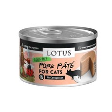 로렌스토탈스캔