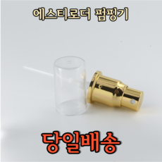 에스티로더 더블웨어 펌핑기 골드 캡포함 1