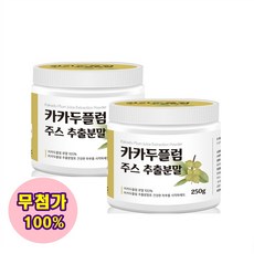 아이러브플럼