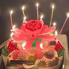 생일축하 회전 멜로디 특이한 생일초 연꽃초 (핑크) 연꽃초 파티용품