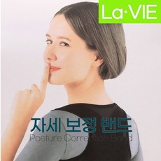 견갑골복대