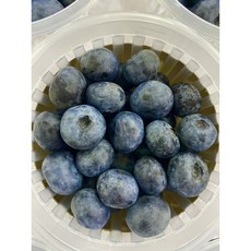 프리미엄 블루베리 생블루베리 특 국산 제주 미국산 칠레산 125g 250g 1kg, 1개, (특) 프리미엄 생블루베리 6팩