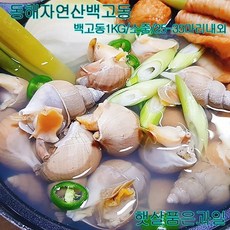 백고동