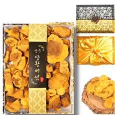 [명절 선물세트] 국산 상황버섯 300g 장수상황버섯, 1개