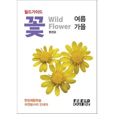 추천7영등포여의도봄꽃축제