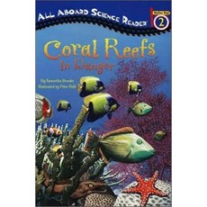 키즈올사이언스