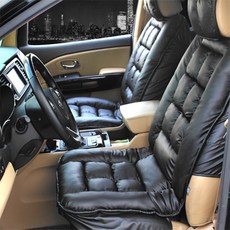 디트로네리무진