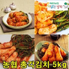 해남 화원농협 이맑은김치 총각김치 5kg 순국산양념재료 100%, 1개