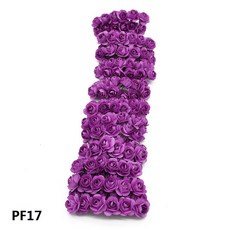pf17