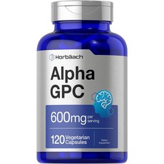 호바흐 알파GPC 콜린 알포세레이트 600mg 120캡슐, 1개