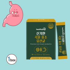 grn효소