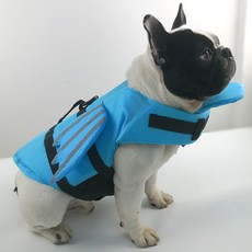애견워터파크