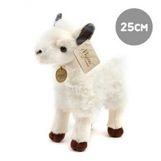 일라마스쿠아프라이머